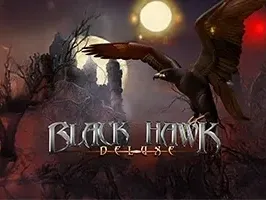Black Hawk Deluxe screenshot